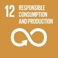 12 responsible consumption and production